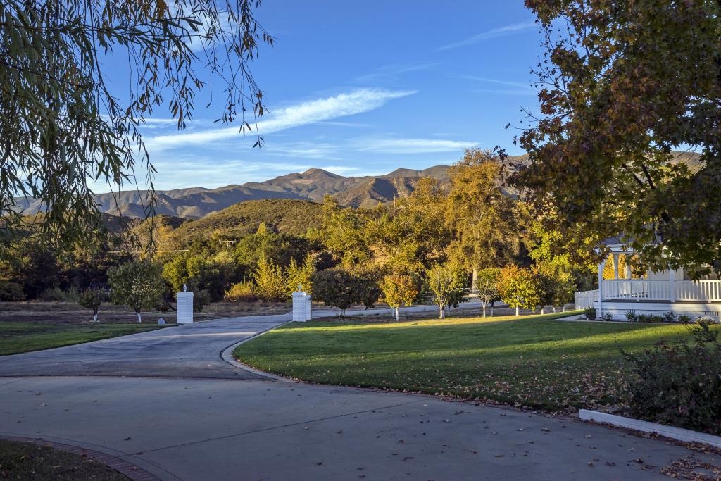 Entrance Driveway