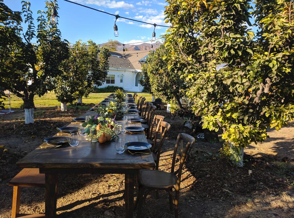 Luncheon in the Orchard