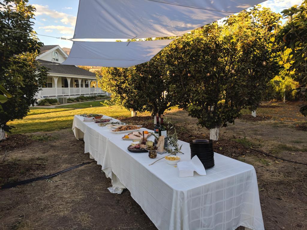 Luncheon in the Orchard